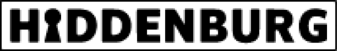 «HIDDENBURG»